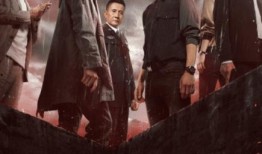 冰雨火最新爆料,揭秘神秘组织与卧底警察的生死较量！