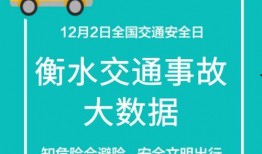 衡水公安最新爆料,揭秘重大案件背后惊人内幕
